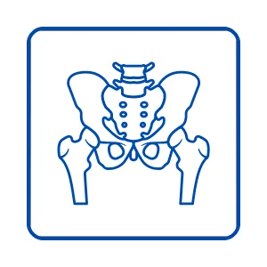 Hip Reconstruction icon services
