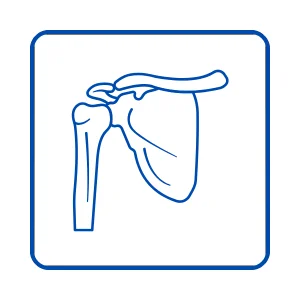 Shoulder Reconstruction icon services