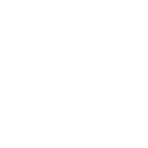 Hand - Lao Orthopedic